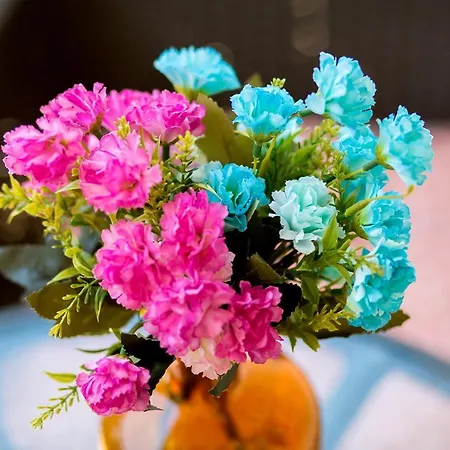 Amari 아파트 스플리트